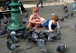 palomas.jpg