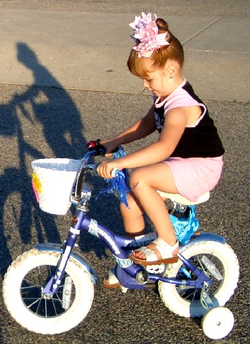 pedalea.jpg